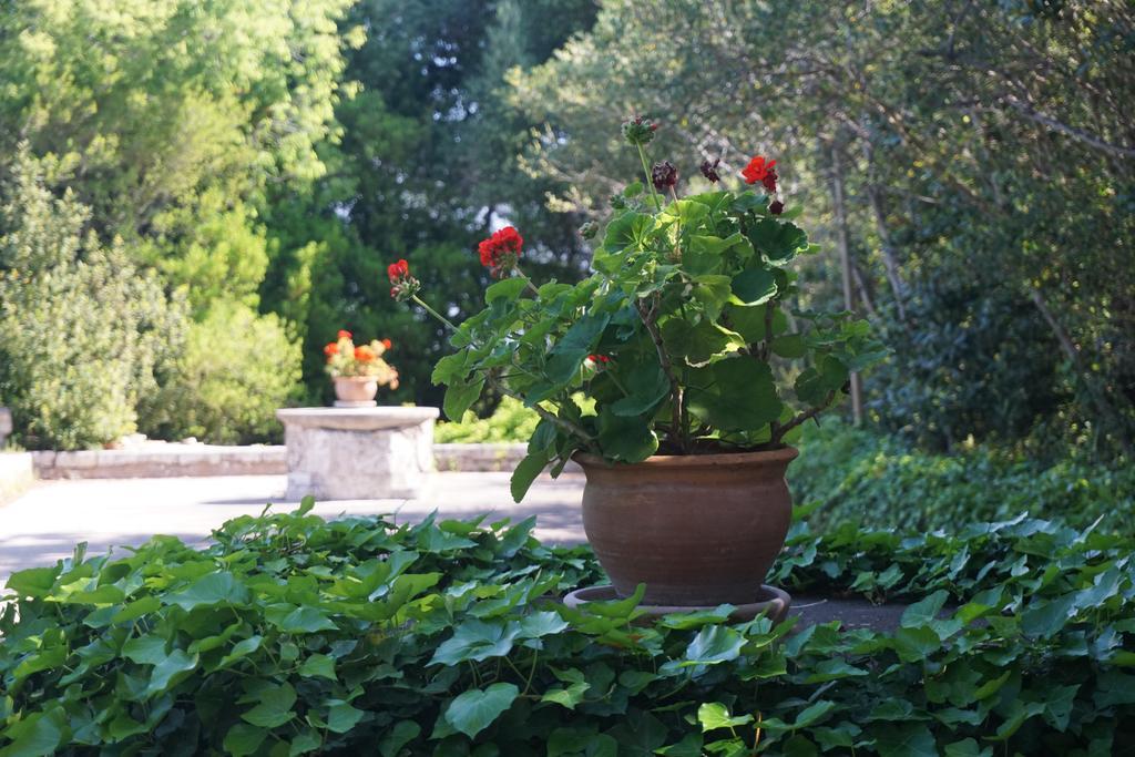 Finca Son Vivot 외부 사진
